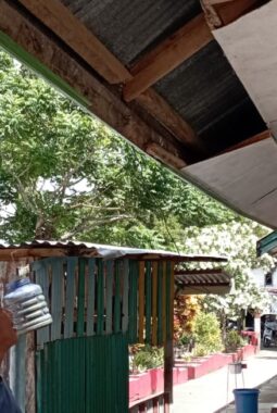Atap Plafon SDN 16 Cellu Rusak Parah dan Terancam Ambruk, Pihak Sekolah Ambil Tindakan Darurat