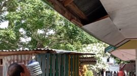 Kondisi palpon UPT SDN 16 Cellu berjatuhan dimakan rayap dan kayu penyangga yang sudah lapuk.